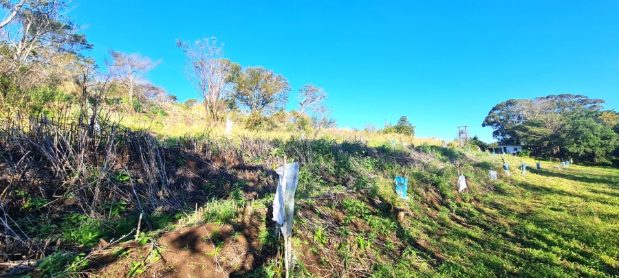 Commercial Property for Sale in Cintsa East Eastern Cape